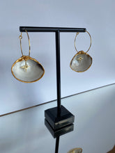 Load image into Gallery viewer, White Shell earrings - North Star
