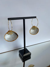 Load image into Gallery viewer, White Shell earrings - gold fan
