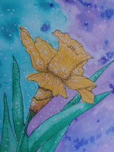 Load image into Gallery viewer, Art Print Mounted &amp; Framed -Daffodil
