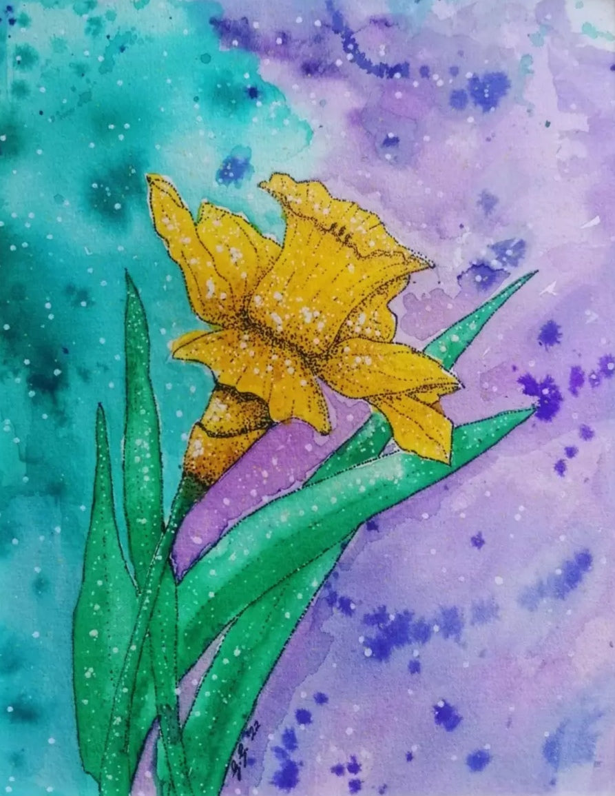 Art Print (mounted) - Daffodil
