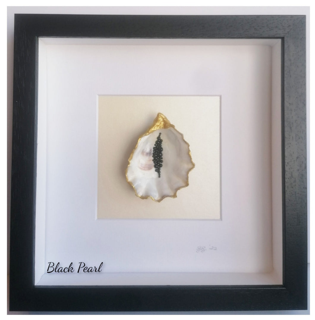 Oyster Shell - Black Pearl