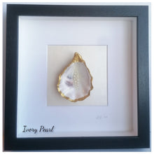 Load image into Gallery viewer, Oyster Shell - Ivory Pearls
