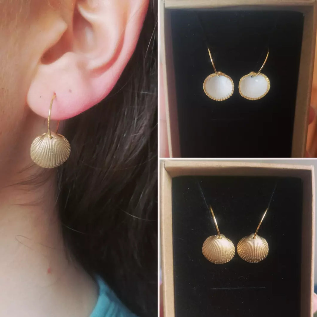 White & Gold Shell Earrings